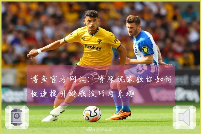 博鱼官方网站：资深玩家教你如何快速提升游戏技巧与乐趣